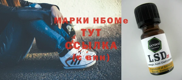 стаф Елизово