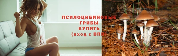 2c-b Елабуга