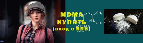 мдпв Ельня