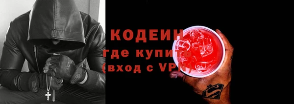 мдпв Ельня