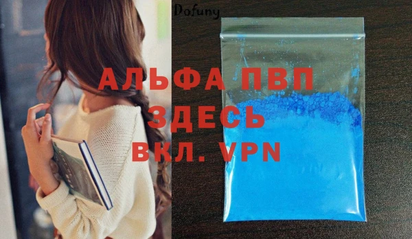 стаф Елизово