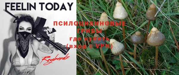 мдпв Ельня