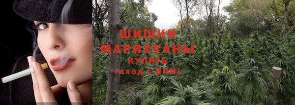 стаф Елизово
