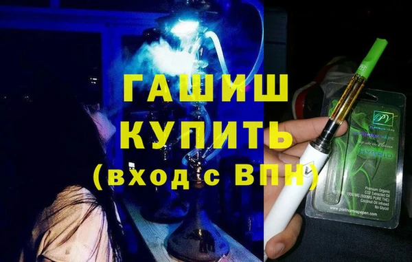 мдпв Ельня