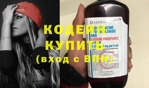 мдпв Ельня