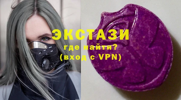 мдпв Ельня