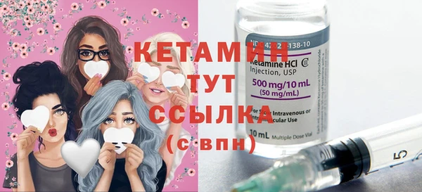 мдпв Ельня