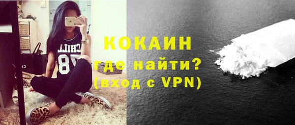 мдпв Ельня
