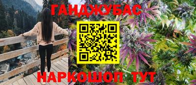 ECSTASY Камышлов