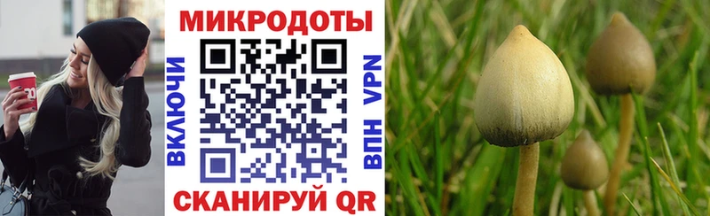 Псилоцибиновые грибы ЛСД  наркошоп  Славянск-на-Кубани 