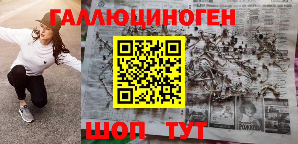 Галлюциногенные грибы GOLDEN TEACHER  Вход с VPN  Славянск-на-Кубани 